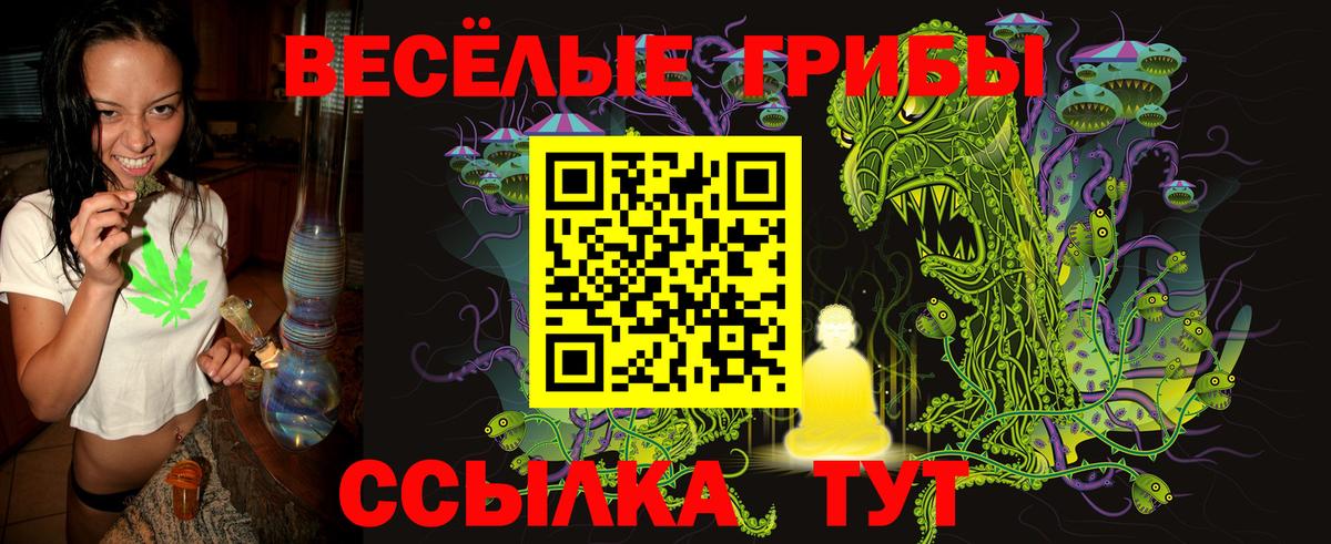 Галлюциногенные грибы мицелий Пенза