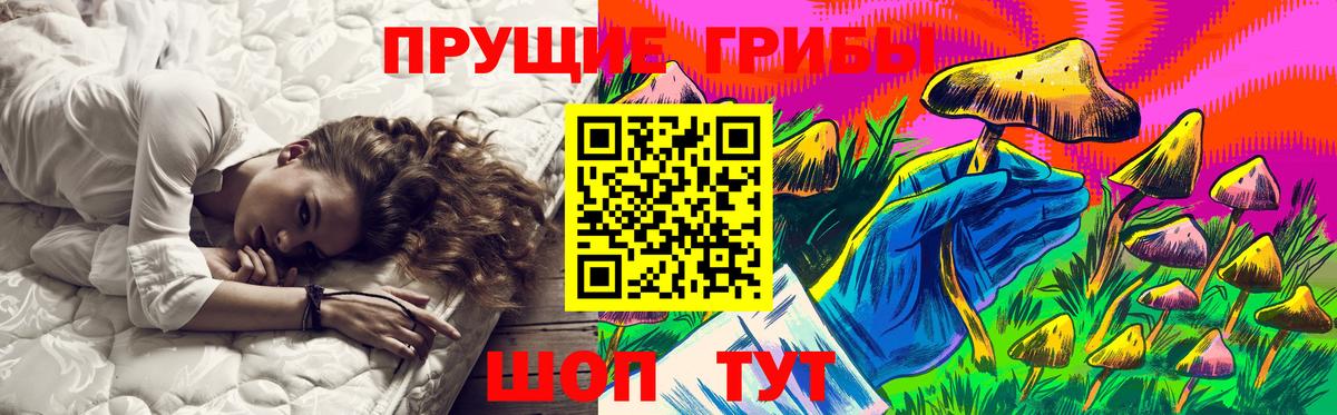 Пенза  Псилоцибиновые грибы мухоморы  Вход с VPN  Псилоцибиновые грибы GOLDEN TEACHER 